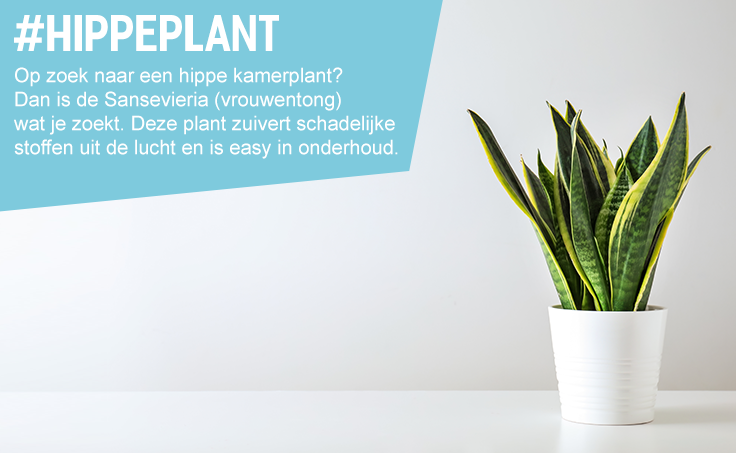 Bekijk planten