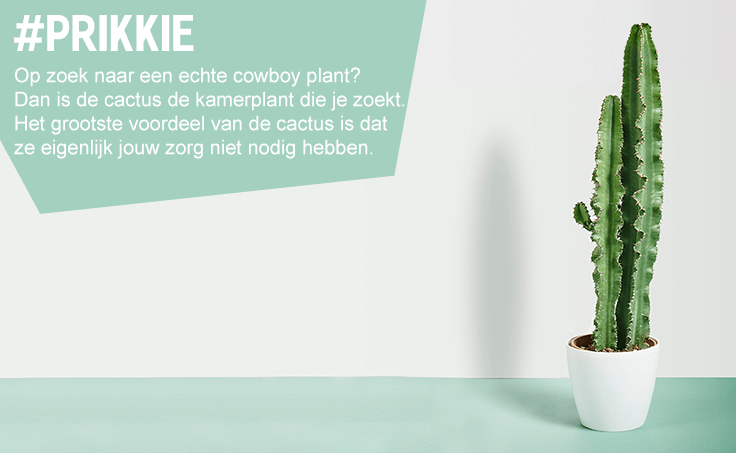 Bekijk planten